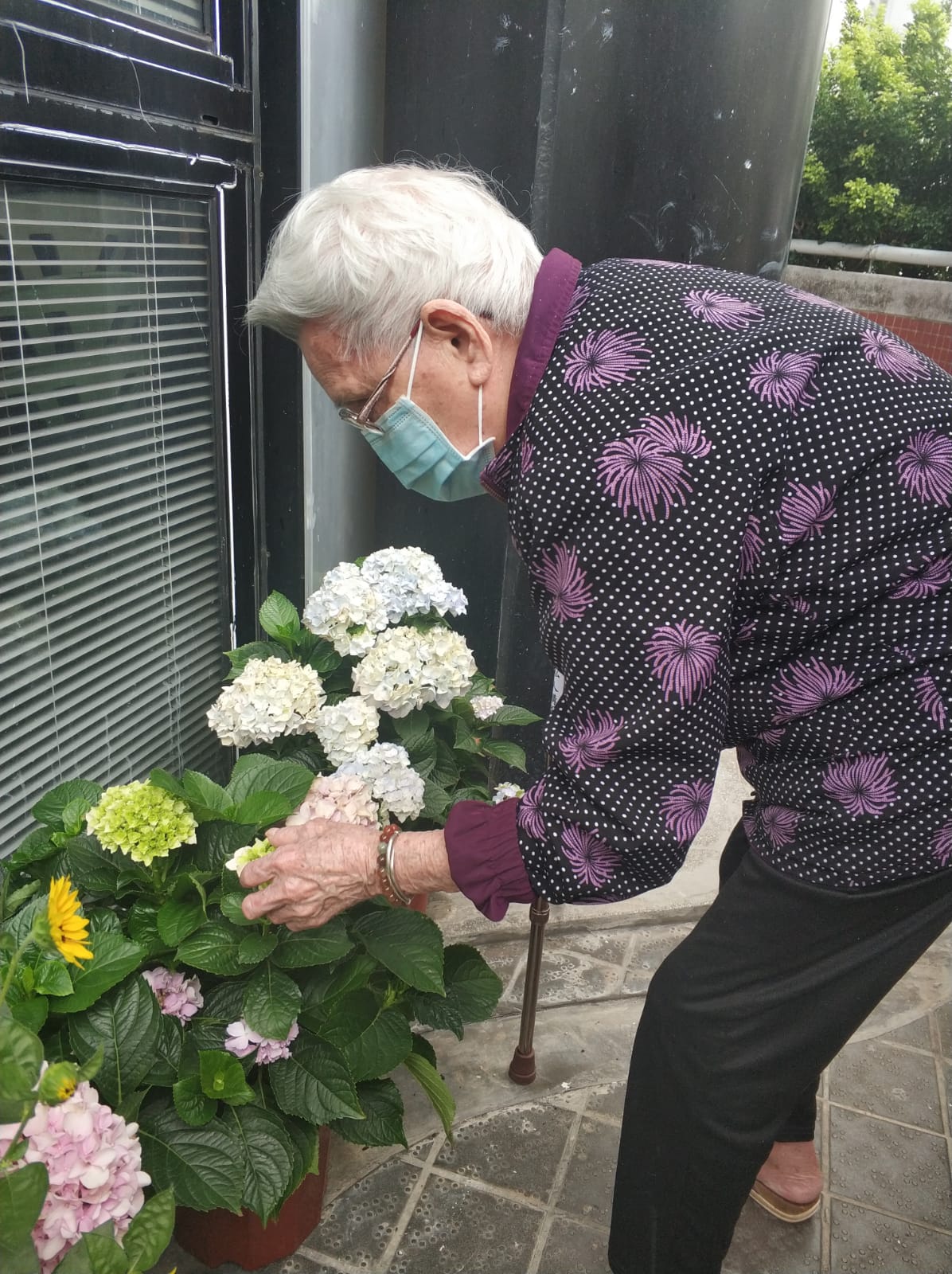 5樓平台花園